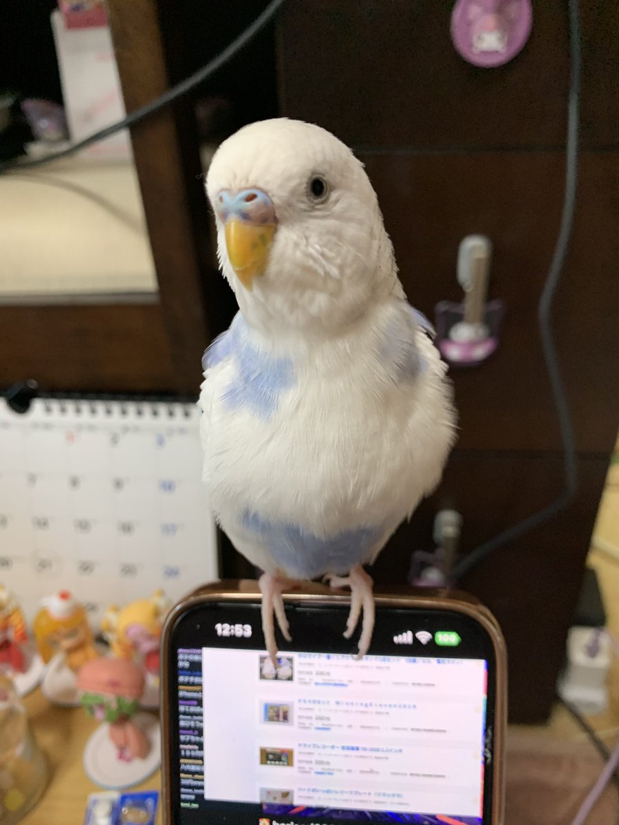 今日も一日お疲れ様でした🕊𓈒𓏸︎︎︎︎