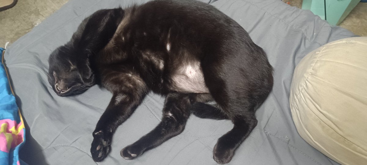 <a href="/Sovonvier/">Sovon 🐍 รอคุณวีวี่กลับมา</a>