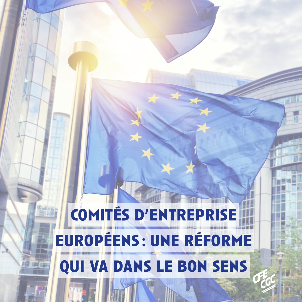 L’Union européenne a adopté la révision de la directive sur les comités d’entreprise européens, un progrès important pour en moderniser le fonctionnement et renforcer le dialogue social dans les groupes transnationaux.

cfecgc.org/actualites/com…