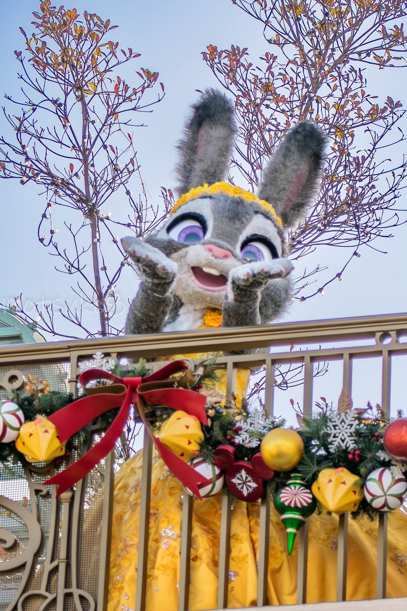 ジュディちゃんめっちゃ可愛い