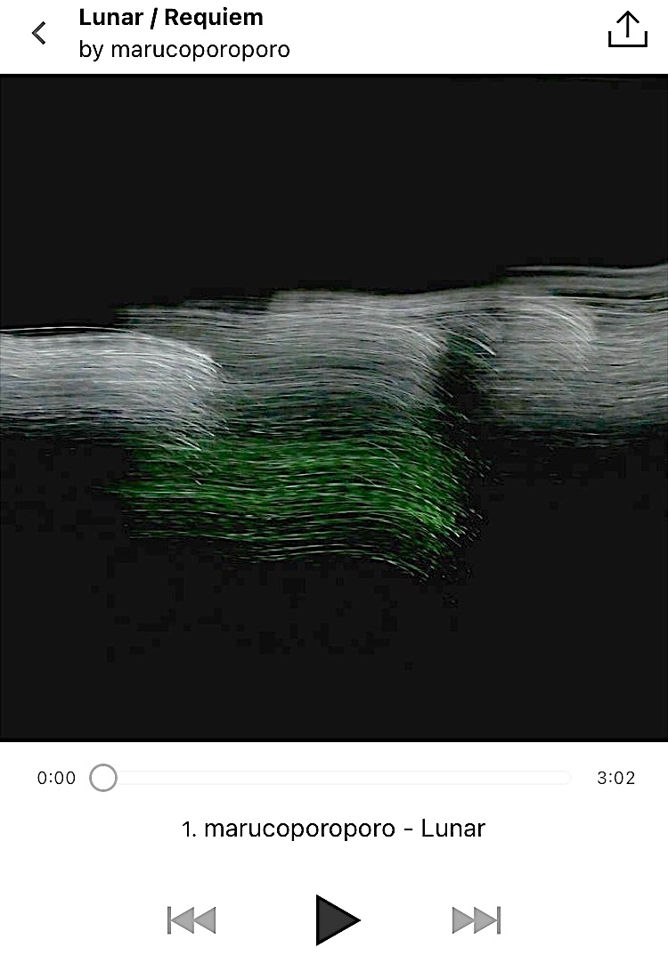 西脇一弘 (@kzhironishiwaki) / Posts / X