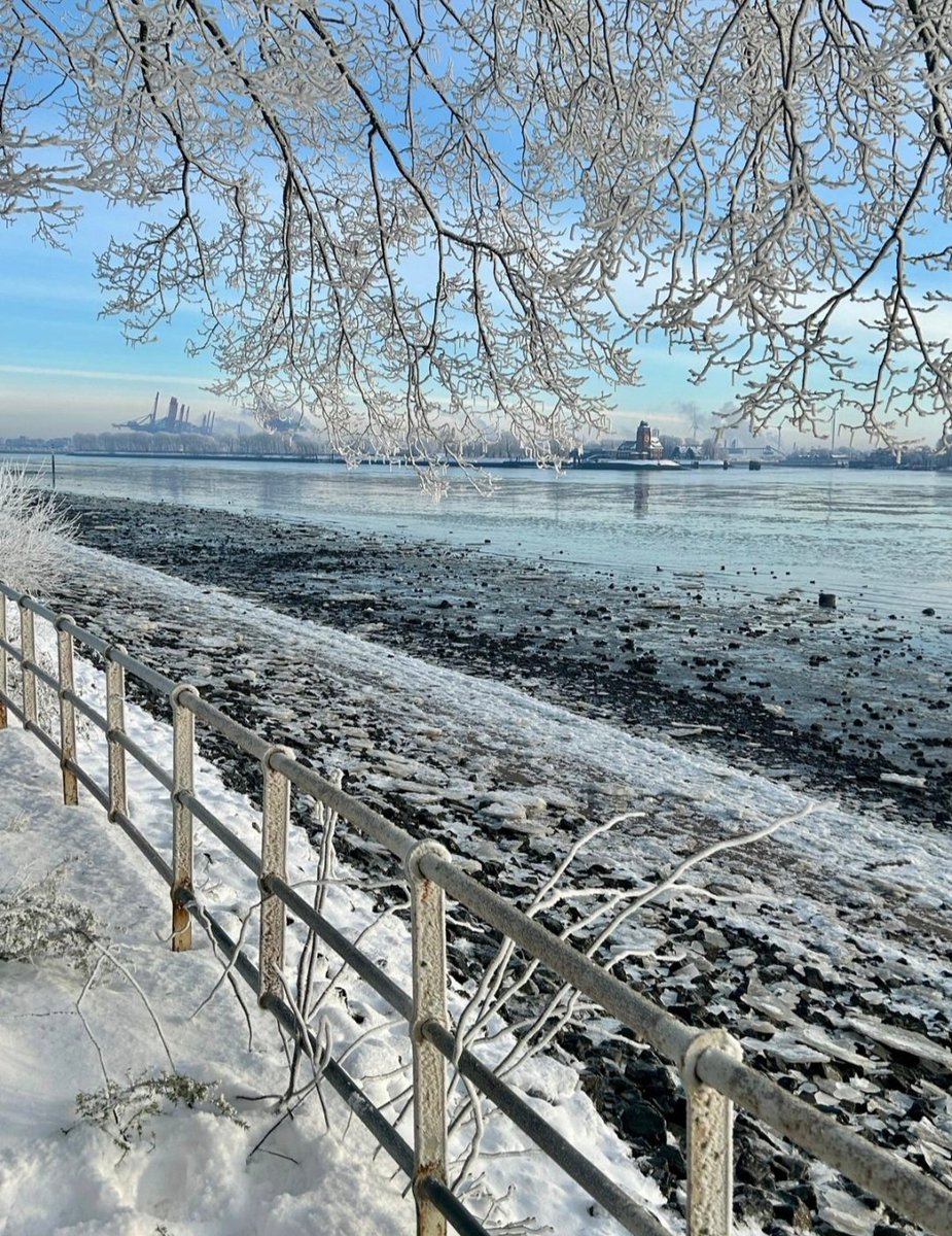 Guten Morgen und schönen Start in die neue Woche mit Elbe zur Eiszeit.