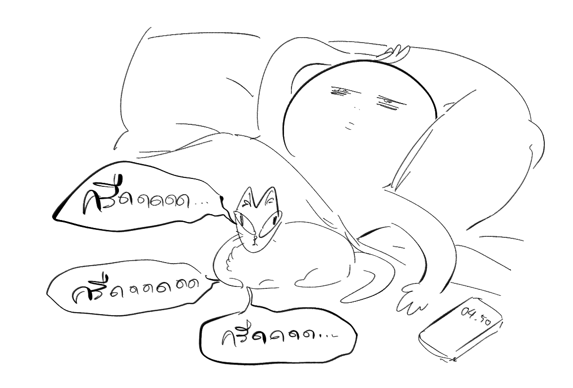 vaivaivaizaddd's tweet image. ช่วงนี้อากาศหนาว แมวชอบมานอนเบียด ก็น่ารักดี แต่แม่งpurrr ดังมากจนนอนไม่ได้555555555