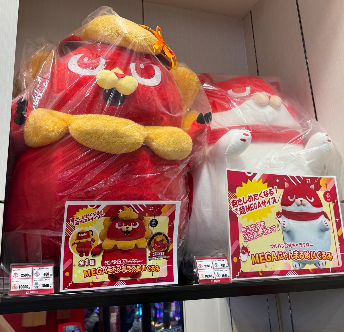 実践終了しました🍀 なんとお昼休憩後すぐに当たって数億年ぶりの万発