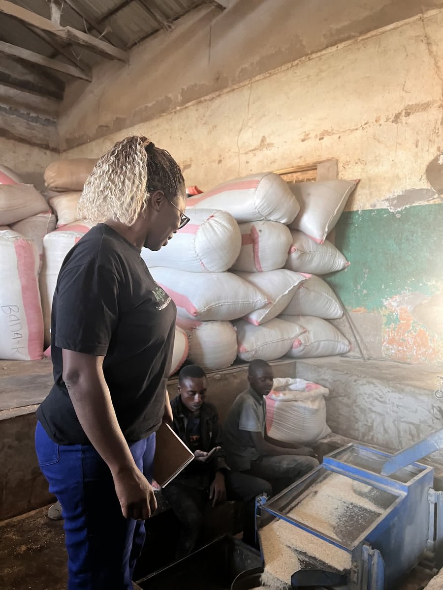 The biggest gap in agriculture isn't what's grown- its how it connects.
Farmers produce. Finance, buyers, and markets don't always align. 
AgriEn bridges these gaps, connecting partners so ideas move to pilots and to markets.
Call: +260960844369