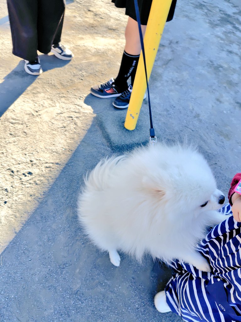 娘と公園中犬の散歩してる推定小4～小5の女児2人(友達同士)がいて、娘