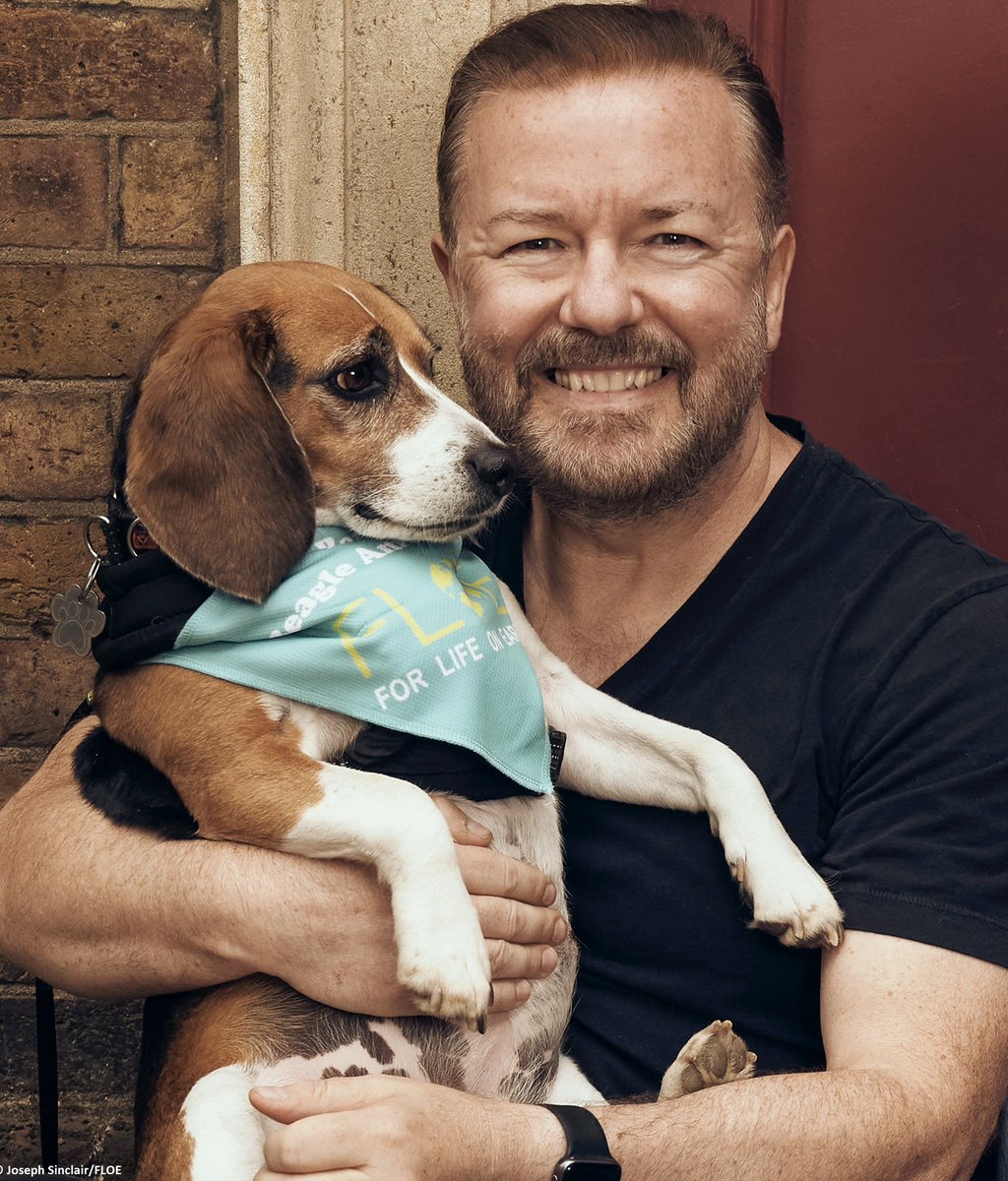 Betsy, Beagle Ambassador for FLOE tweet media