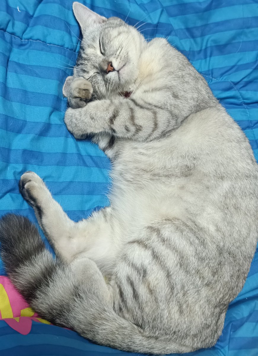 <a href="/Sovonvier/">Sovon 🐍 รอคุณวีวี่กลับมา</a>