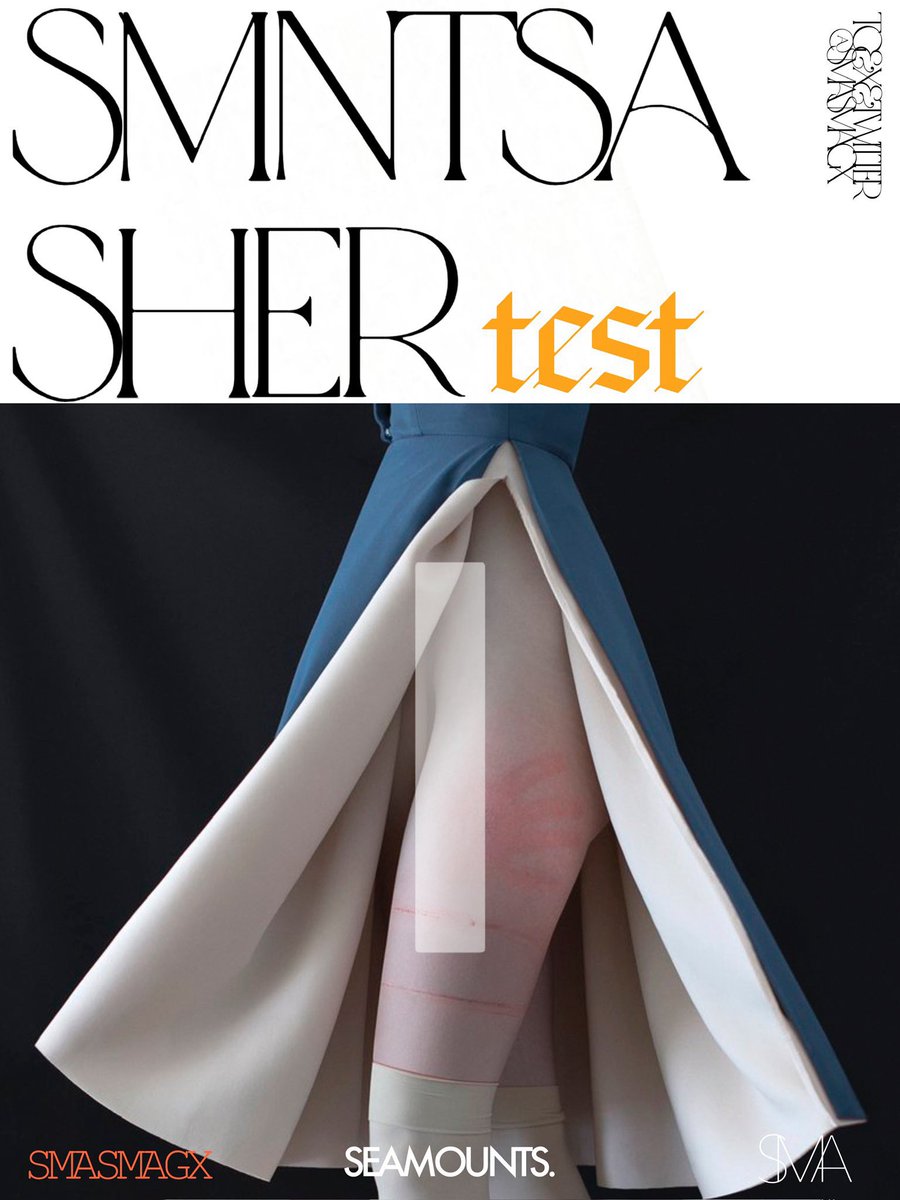 SEAMOUNTS.Art｜海山 tweet media