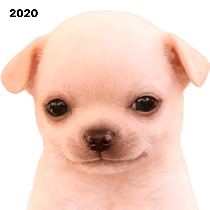 Crisfred Balid 🇲🇽💯😎✨ tweet media