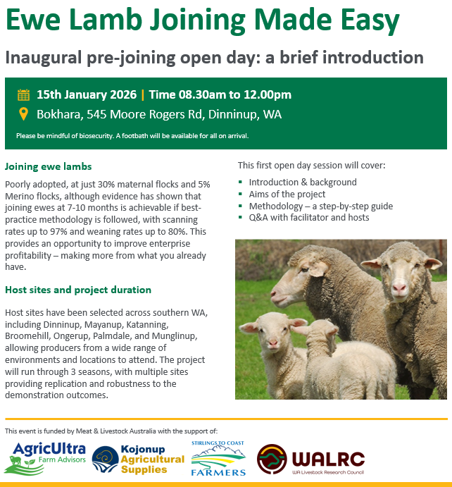 james_ag_'s tweet photo. THURSDAY! Hear from me, @TrompfJason and @kojonupag about how to successfully join ewe lambs. 
Please RETWEET! Thank you.
@meatlivestock @Stirlings2Coast @WALRC1 
#Dinninup #EweLambs #Joining #LambSurvival #Weaning #Produciton #Profit #SheepIndustry #WesternAustralia https://t.co/2gZJwiCVfl