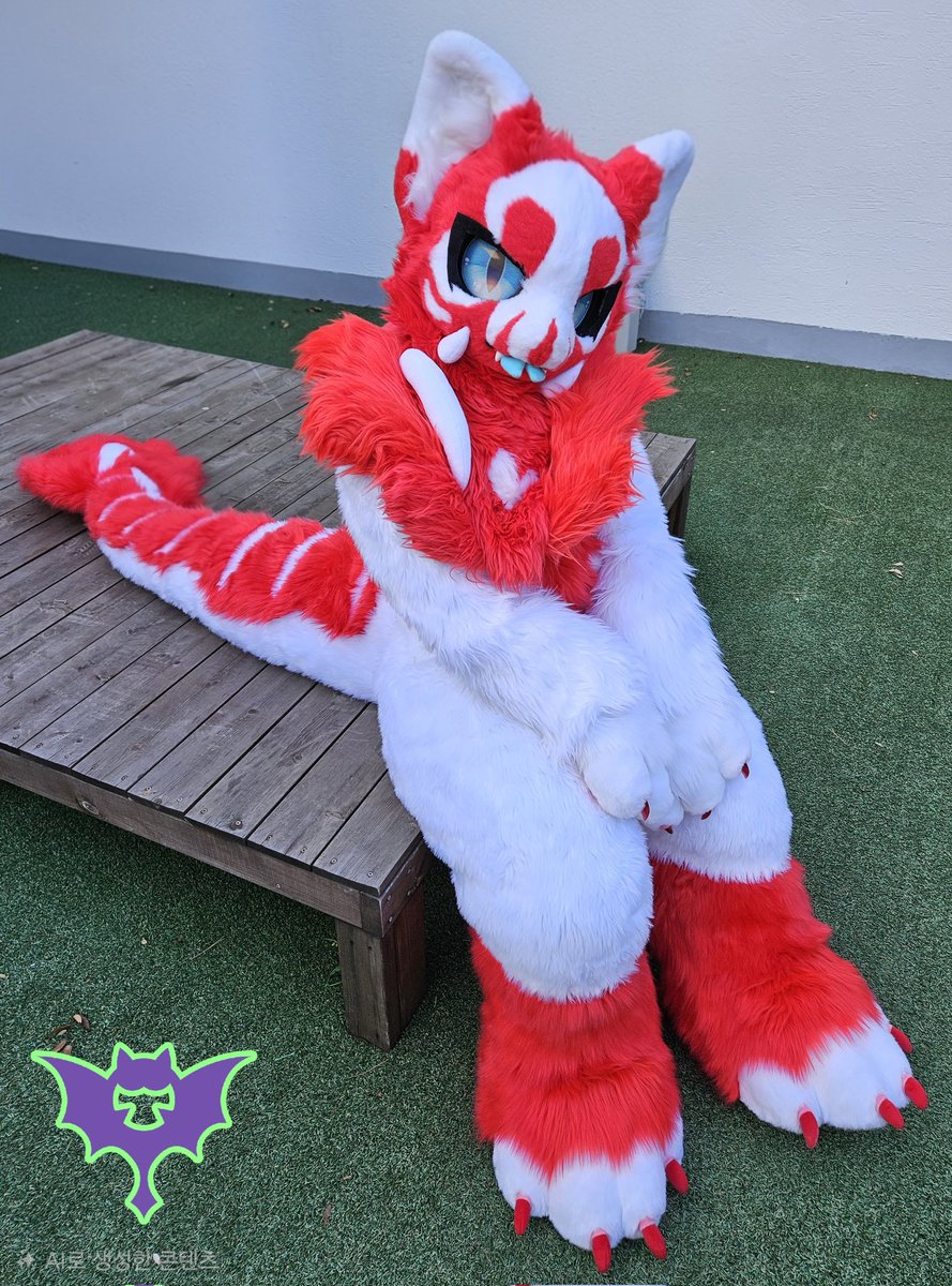💜Purple Bat Fursuit💜 tweet media