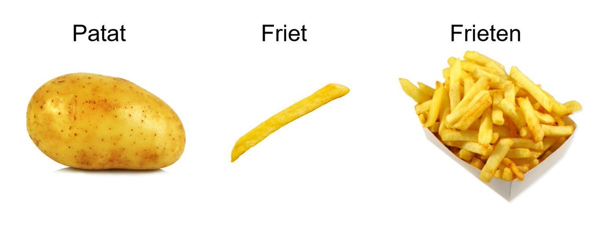 TomVDJ 🦋 tweet media