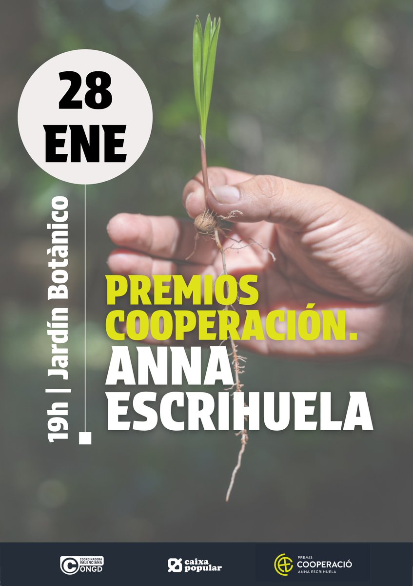 Coordinadora Valenciana de ONGD tweet media