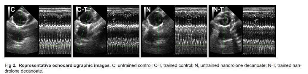 Research Centre for Active Living & Wellbeing tweet media