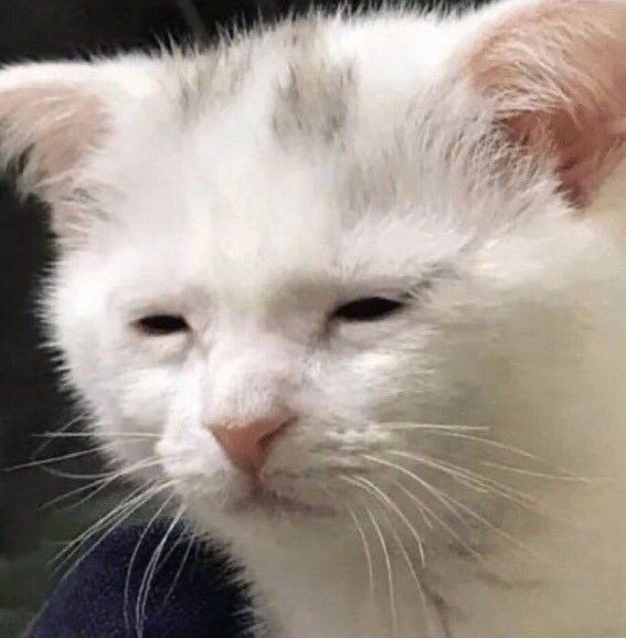 ming___v's tweet image. 뮤래.....
나 다시 맴이 힘드뤄.........