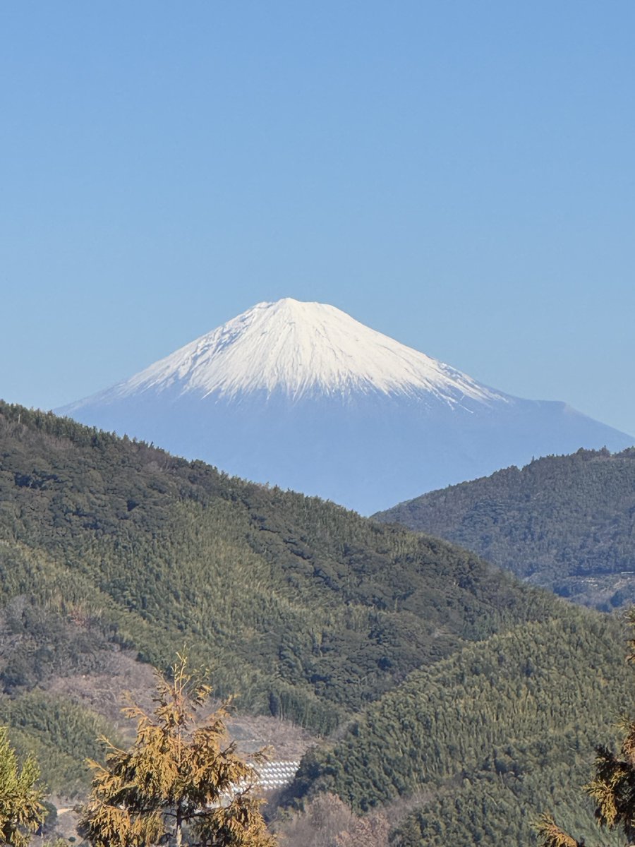 本日はちょびちゃんに会いにABC藤枝緑町店へ🚙 ⸒⸒

新年のご挨拶も出来たし、いろんなお話が出来て楽しかったです！また2026年も色んなホールで会えたらいいなぁ😊

せっかく藤枝まで来たので、フォロワーさんに教えてもらった蓮華寺池公園を散策🚶🏻
天気も良くて最高でした♪