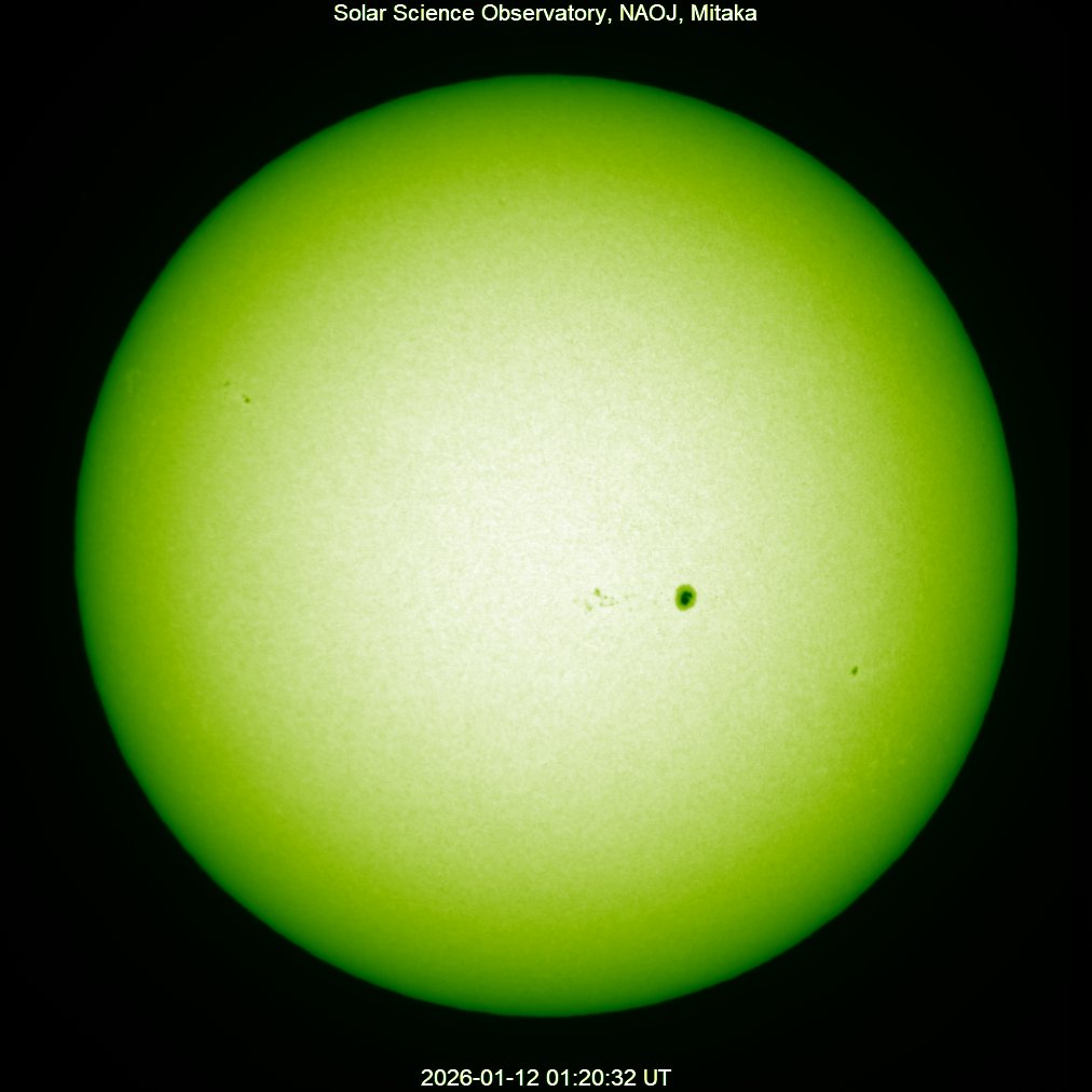 本日の太陽】2026-01-12の太陽黒点 北半球g=1,f=2,R=12 南半球g=2,f=12