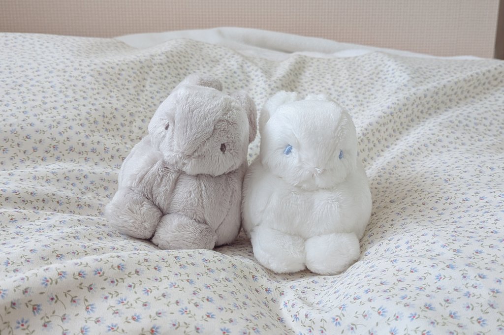 ぱむすけ🌰 (@mgmgpampam) / Posts / X