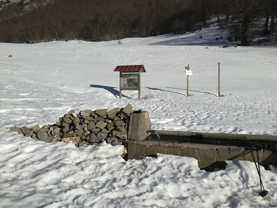 sentieripollino's tweet image. La Fonte Abbeveratoio di #ColleGaudolino, a 1.664 m nel #ParcoDelPollino, è una tappa imperdibile per gli #escursionisti: vicino al bivacco di Gaudolino e ai piedi del #MontePollino.

Foto ©Francesco Morello 
Per altre foto e per approfondire:
isentieridelpollino.it/sorgenti-parco…