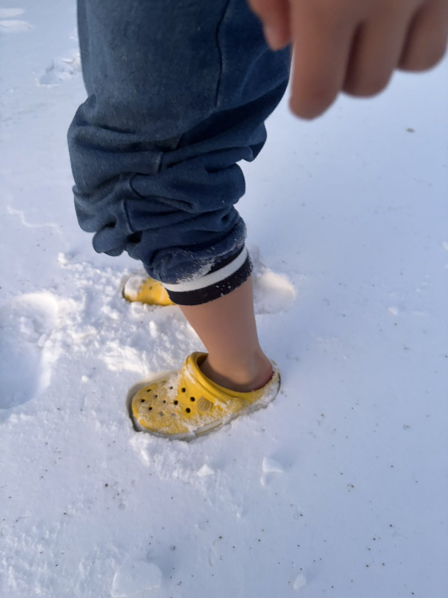 trynow_m's tweet image. おまえさん
靴じゃないのか.......(；；)