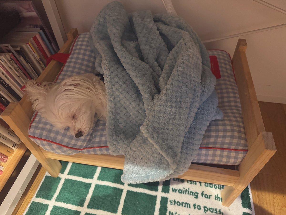 ベッドの使い方上手やなと思う