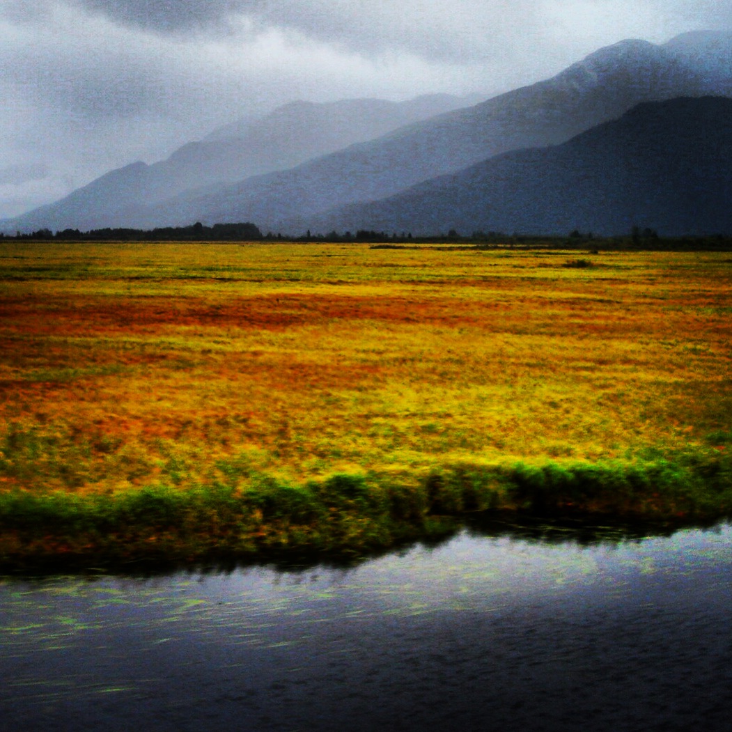 janetchart's tweet image. 