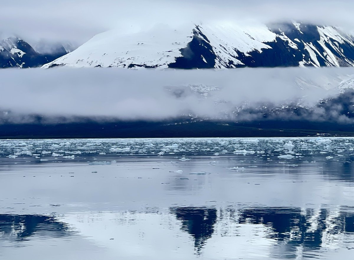 janetchart's tweet image. 