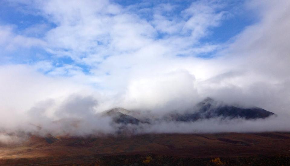 janetchart's tweet image. 