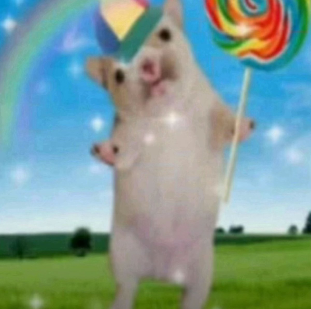 Siobhanfishchip's tweet photo. How I feel now having hope for another episode #conformitygate https://t.co/jouIuhYPyk
