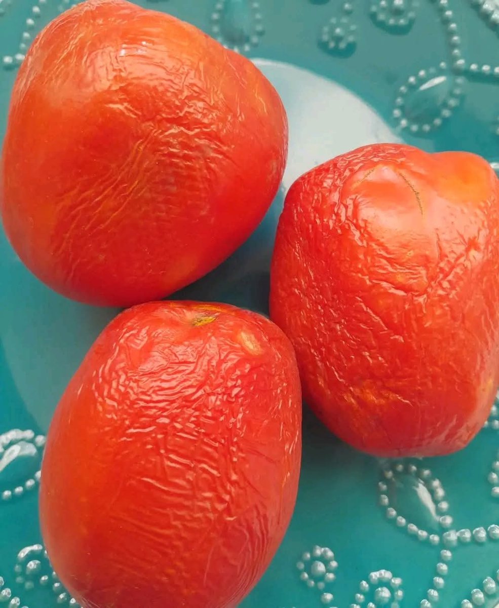 SKYPAHANCHO's tweet image. Nyanya za Nairobi haziozi zinazeeka
Hizi niliacha kwa nyumba nikienda Christmas. What's not happening?