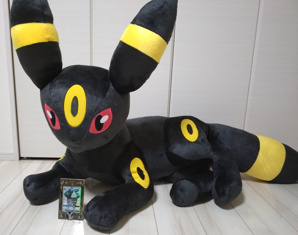 半年前に注文した等身大寝そべりブラッキー届きました