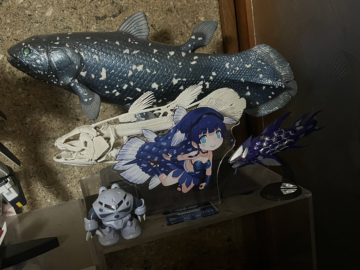 チ*ス様 シーラカンス　プロト 海洋総合辞典 Comprehensive Ocean Dictionary, 特選フォト