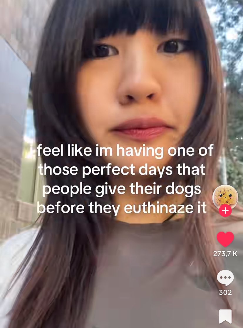 netdump14's tweet image. how yesterday felt like and now 😹😹😹