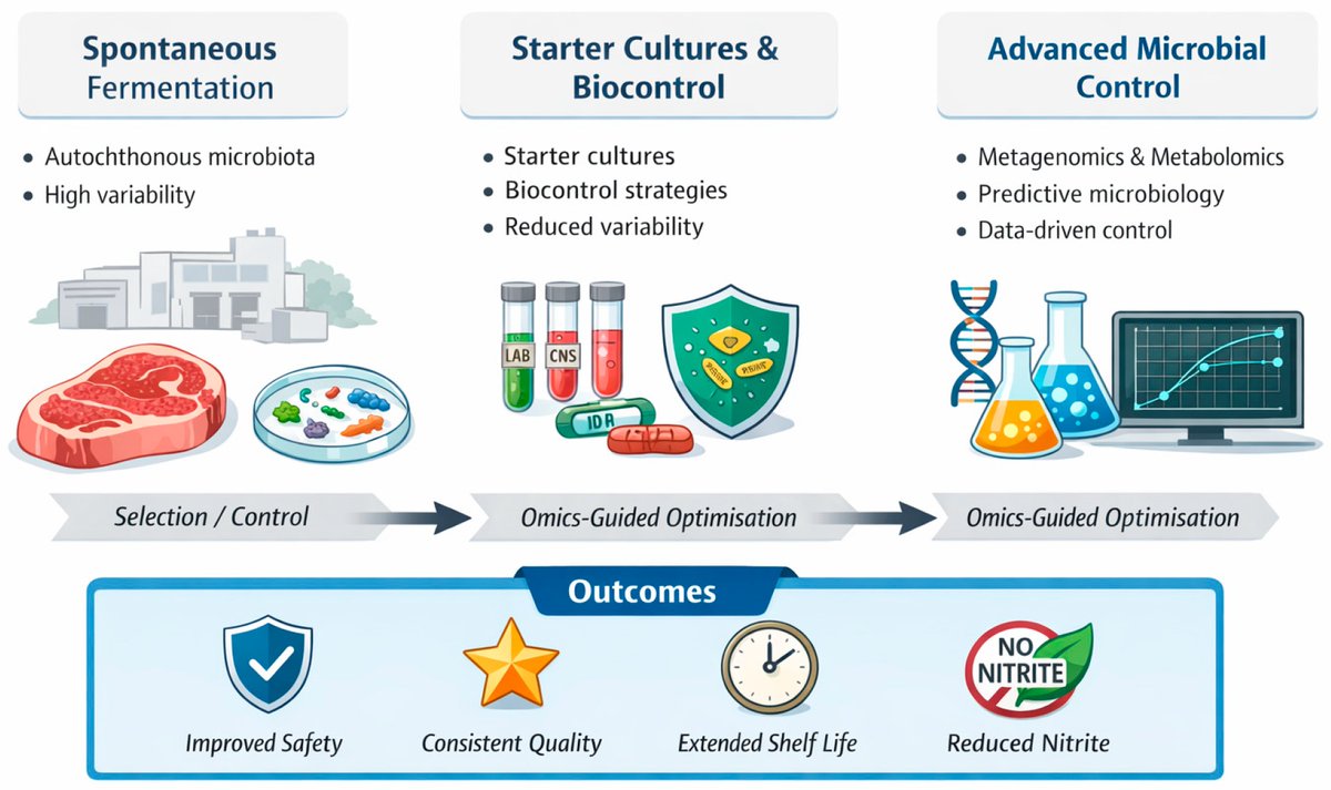 Applsci's tweet image. 📚 #Microbiological Aspects of #Meat #Fermentation: From Traditional Methods to Advanced #Microflora Control Techniques—A Systematic Review
🔗 mdpi.com/2076-3417/16/2…
👨‍🔬 by Katarzyna Petka and Maria Walczycka
🏫 @UR_Krakow
#fermented #meatproducts #lacticacidbacteria