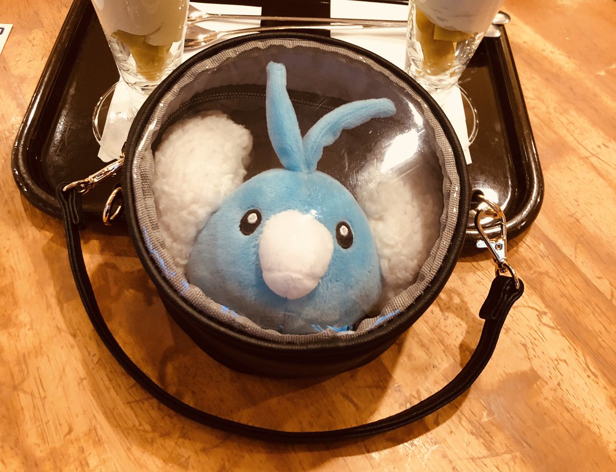 本日浅草の浅草寺付近で長年連れ添ったチルットちゃんのぬいぐるみを落としてしまいました😭
どなたか拾った心優しいお方がいらっしゃいましたら、どうかご連絡いただきますか、警察に届出をよろしくお願い致します🙇‍♀️
どうか…戻って来てくれますように…😭😭😭