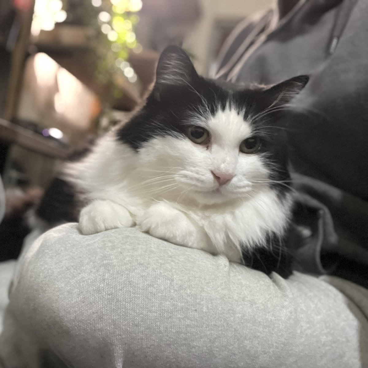 べんづ (@125_benz) on X