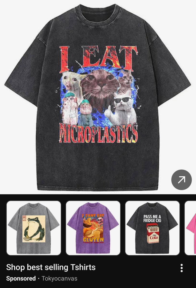YouTube ads knowing my exact brand of brain rot...

I've never wanted a shirt so badly
