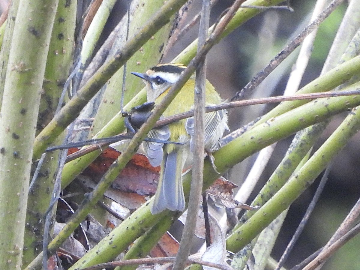 Paul Masters tweet media