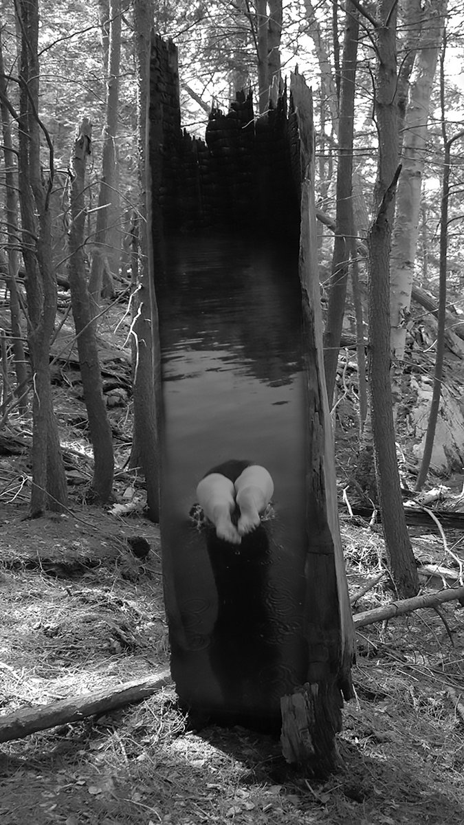 ButlerPhotos's tweet image. I am thoroughly enjoying this music/photography collaboration with my friend Steve Raizen aka Frozen Lonesome.
Here are links to our videos. Enjoy!
youtube.com/watch?v=whmqj3…
youtube.com/watch?v=cqQmtj…
youtube.com/watch?v=cnHiHC…
youtube.com/watch?v=G7cijb…