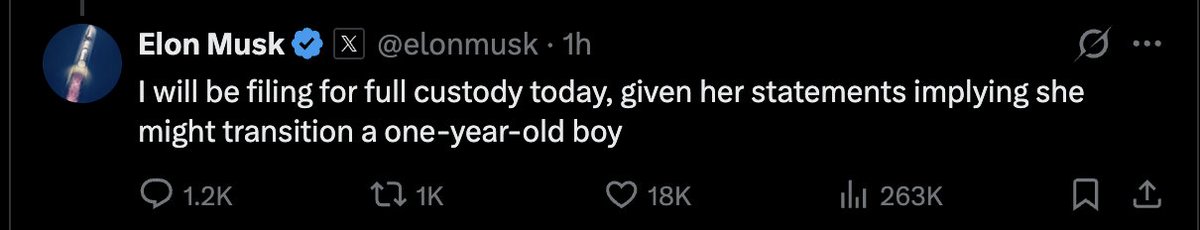 Wow. Bro publicly said he wasn't sure the kid was his and disparaged the mother on X. The mother, <a href="/stclairashley/">Ashley St. Clair</a>, claimed that he hadn't seen the kid in months, and now this AI slop demon wants to get full custody simply because St-Clair acknowledged that her kid's sister is