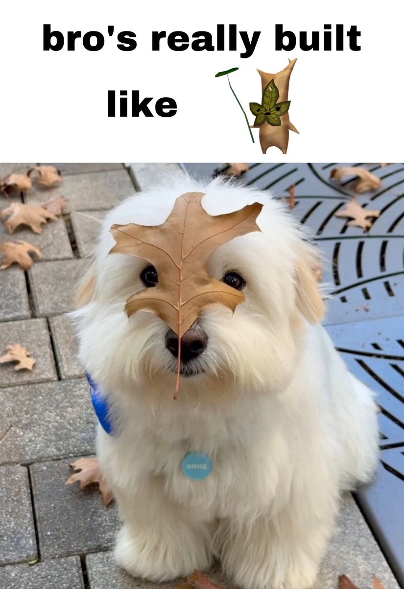 SlLENTPRINCESS's tweet image. 