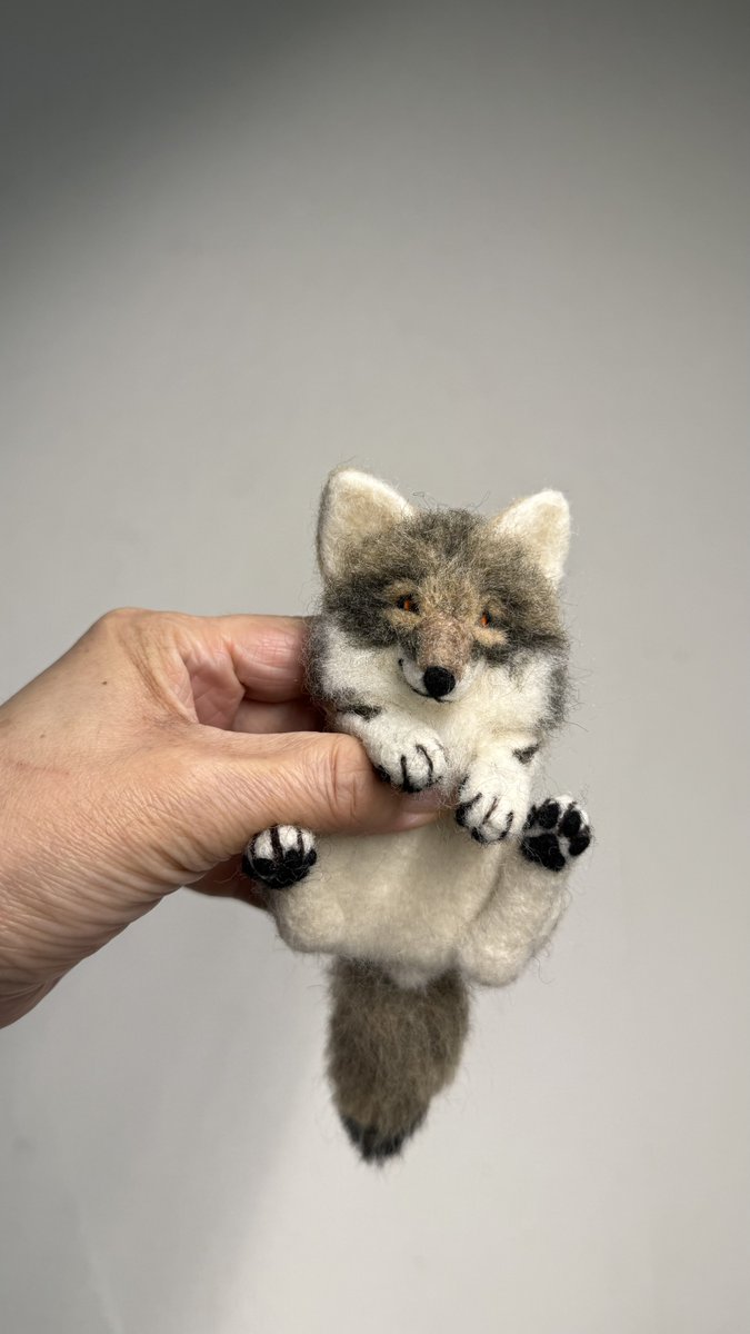 黒ねこ事務所　オオカミちゃん　希少 オオカミブラウン | USAGIMAKER