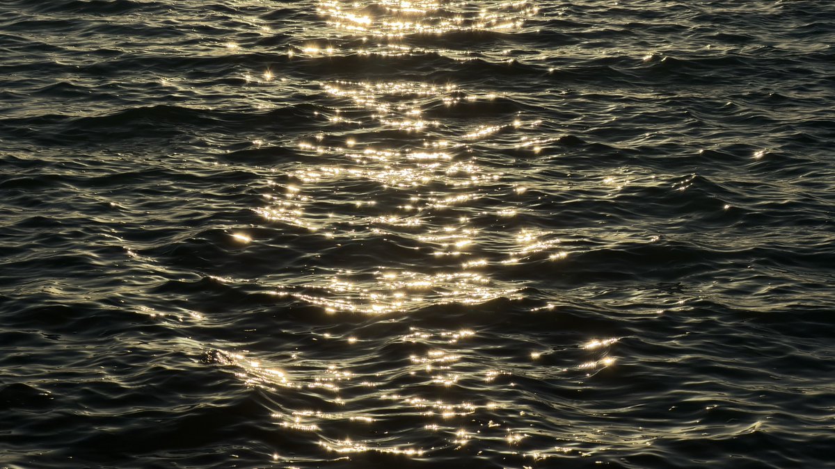 ivsam0's tweet image. 