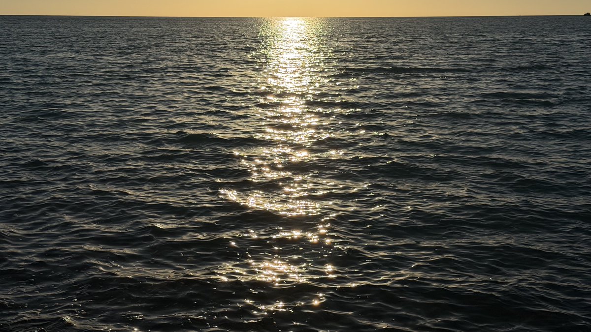 ivsam0's tweet image. 