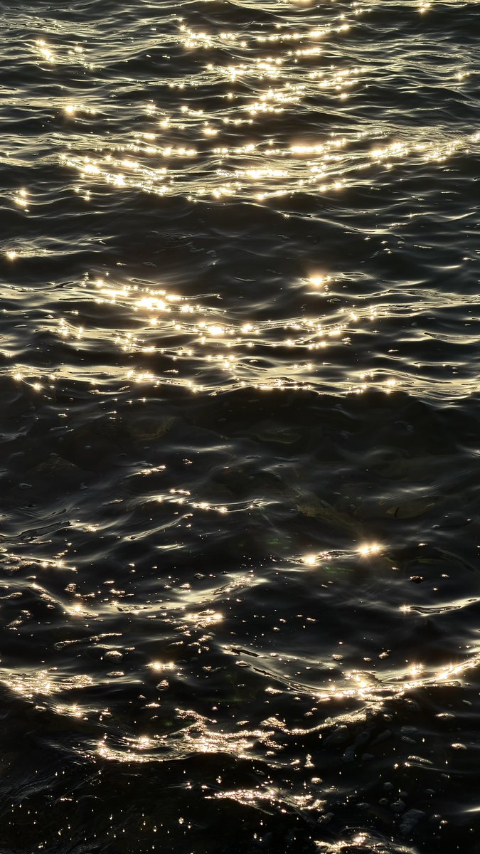 ivsam0's tweet image. 