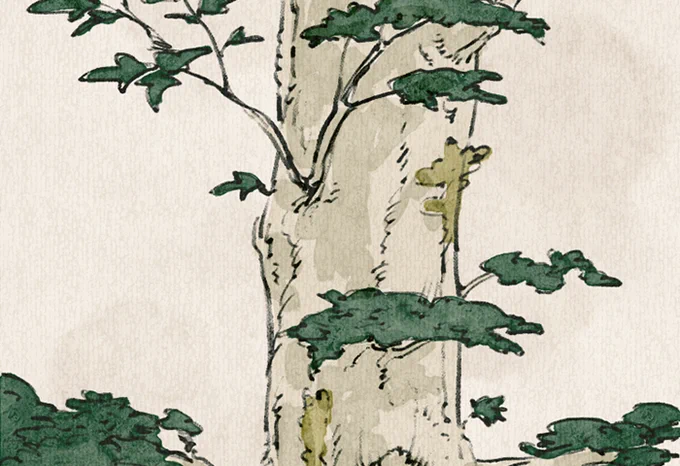 ここをタップすると画像が縦に並ぶッ花ペンギンイラスト第2弾 並んだか!?