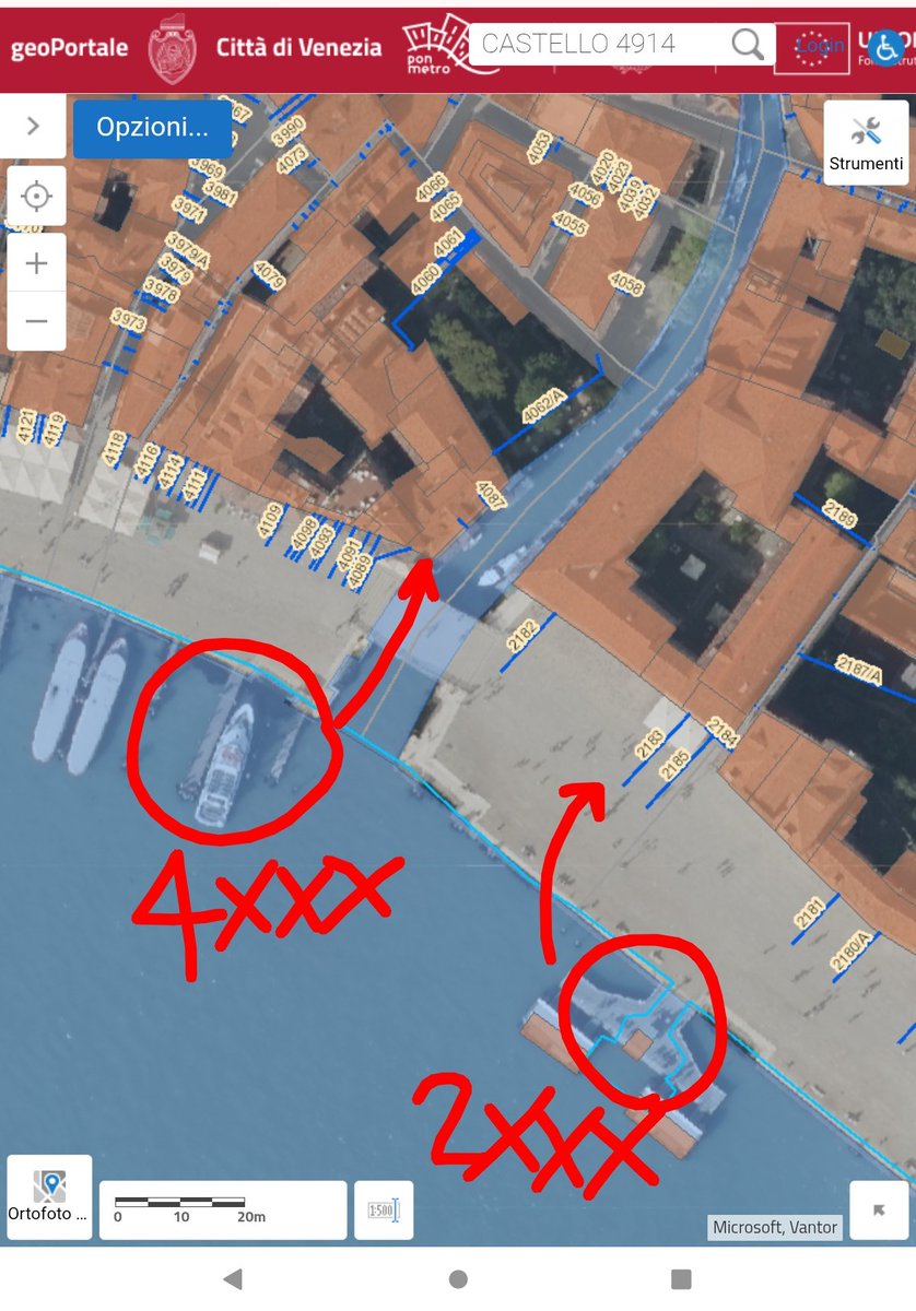 Mauro Pesce / マウロ・ペッシェ tweet media