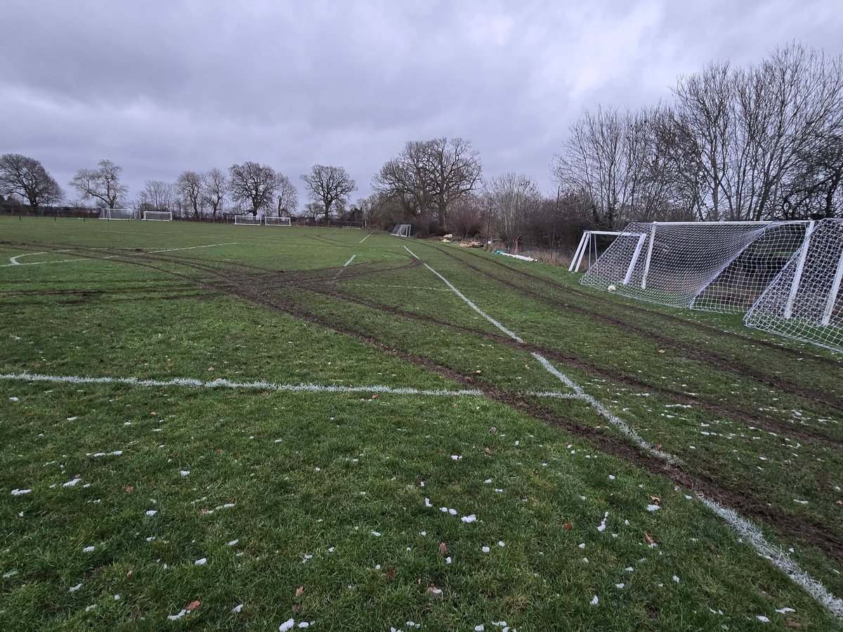 Grassroots tweet media