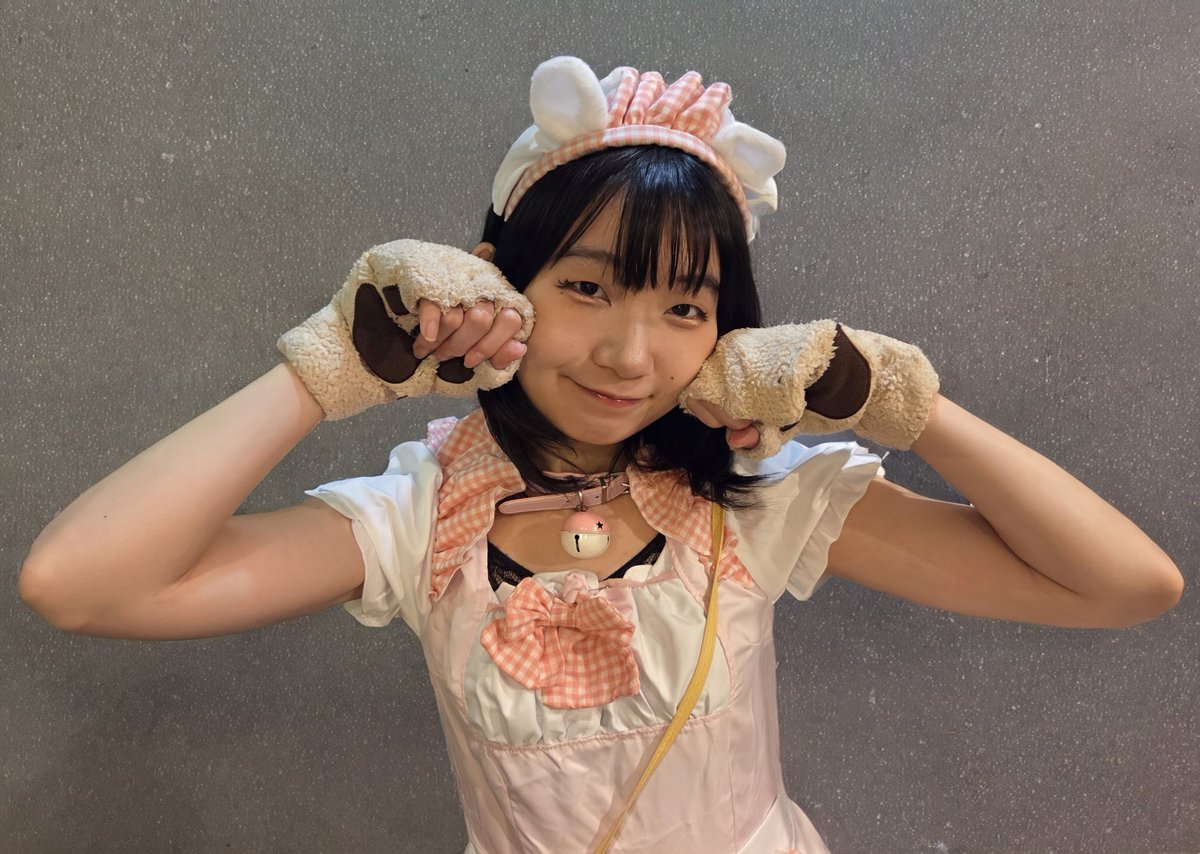 にゃんにゃんにゃんにゃ～んฅ^•ω•^ฅ